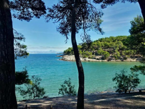 APARTMANI GOMILA